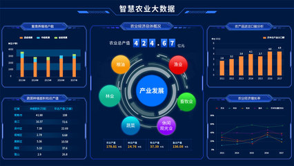 智慧農(nóng)業(yè)數(shù)據(jù)處理服務(wù) 驅(qū)動(dòng)數(shù)字鄉(xiāng)村建設(shè)的新引擎